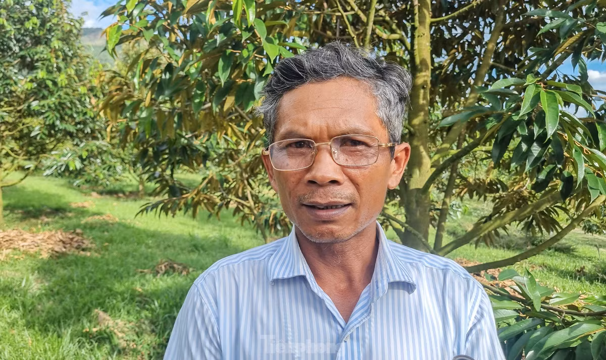 Ông Bo Bo Vĩnh Thành (người đồng bào Raglai, ở xã Sơn Trung) đã trở thành tỷ phú nông dân ở Khánh Sơn nhờ sở hữu 4ha sầu riêng. Mô hình nông nghiệp của ông Thành trở thành điểm đến của nhiều nông dân khác tại địa phương học hỏi để thoát nghèo. "Trồng sầu riêng cực nhất là khâu chăm sóc vì chi phí cao, cây dễ sâu bệnh, nhưng nếu áp dụng tốt khoa học kỹ thuật và trồng có định hướng thì kết quả thu được lâu dài, bền vững", ông Thành chia sẻ.