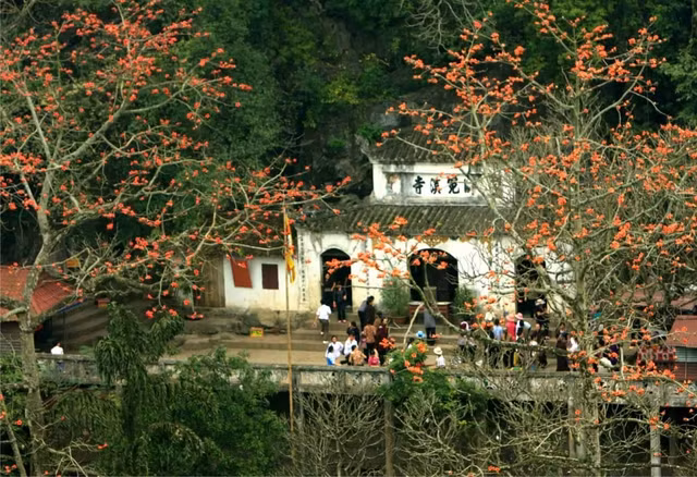 Nhung dia diem du xuan, cau may dau nam ly tuong gan Ha Noi