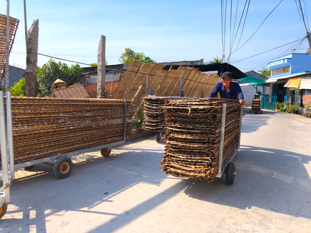 Nhân công thu các vỉ về sau khi bánh tráng đã đủ độ khô - Ảnh: Kim Hà.