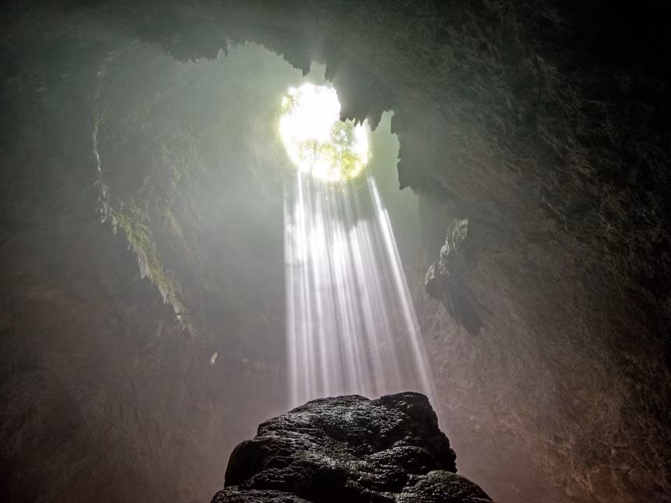 Sững sờ với hệ động, thực vật bên trong hố sụt sâu nhất thế giới Sững sờ với hệ động, thực vật bên trong hố sụt sâu nhất thế giới