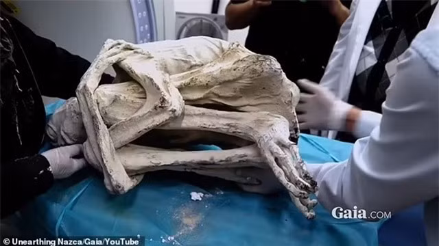 Tranh cãi gay gắt quanh 'xác ướp người ngoài hành tinh' ở Peru - Hình 2 Tranh cai gay gat quanh 'xac uop nguoi ngoai hanh tinh' o Peru-Hinh-2
