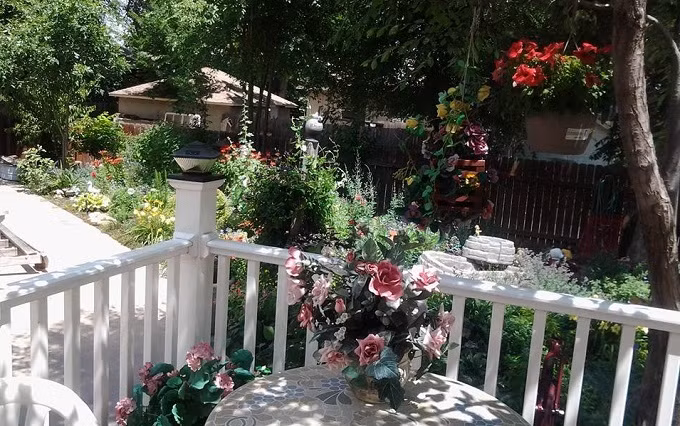 Cu lua ngoan muc cua ga 'so khanh' khien toi dau don