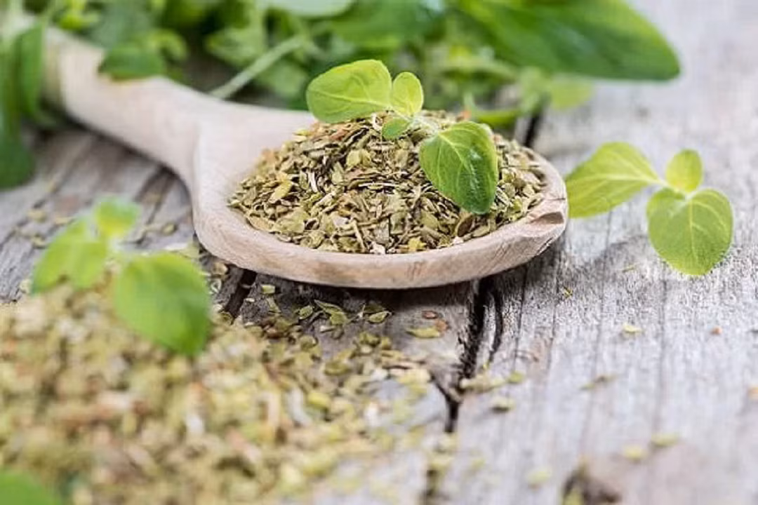 Loại cây gia vị lạ, giá 1,2 triệu/kg - Hình 2 Loai cay gia vi la, gia 1,2 trieu/kg-Hinh-2