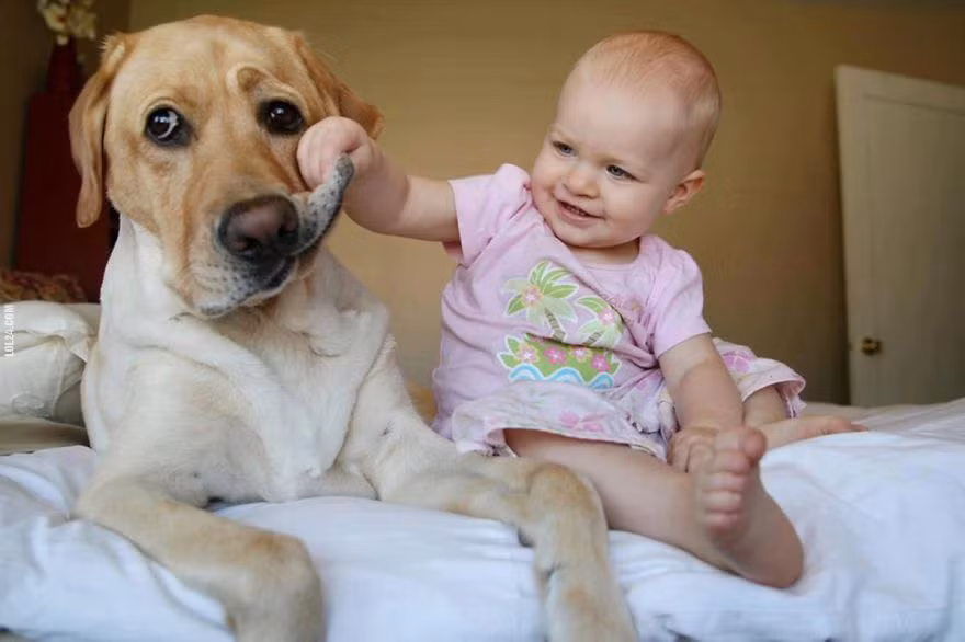 Trẻ em bên cạnh người bạn động vật sẽ là những người chu đáo, biết quan tâm, năng động, hướng ngoại.