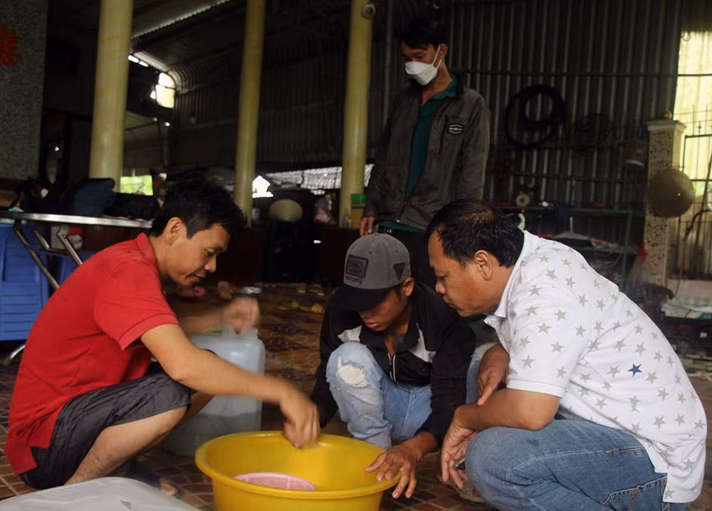 Anh nong dan mien Tay lam lieu nuoi ca day, khong ngo thu bon tien-Hinh-5