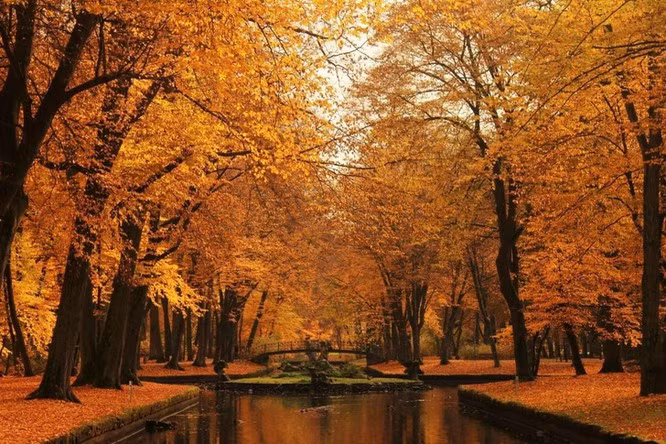 Bayreuth, Đức