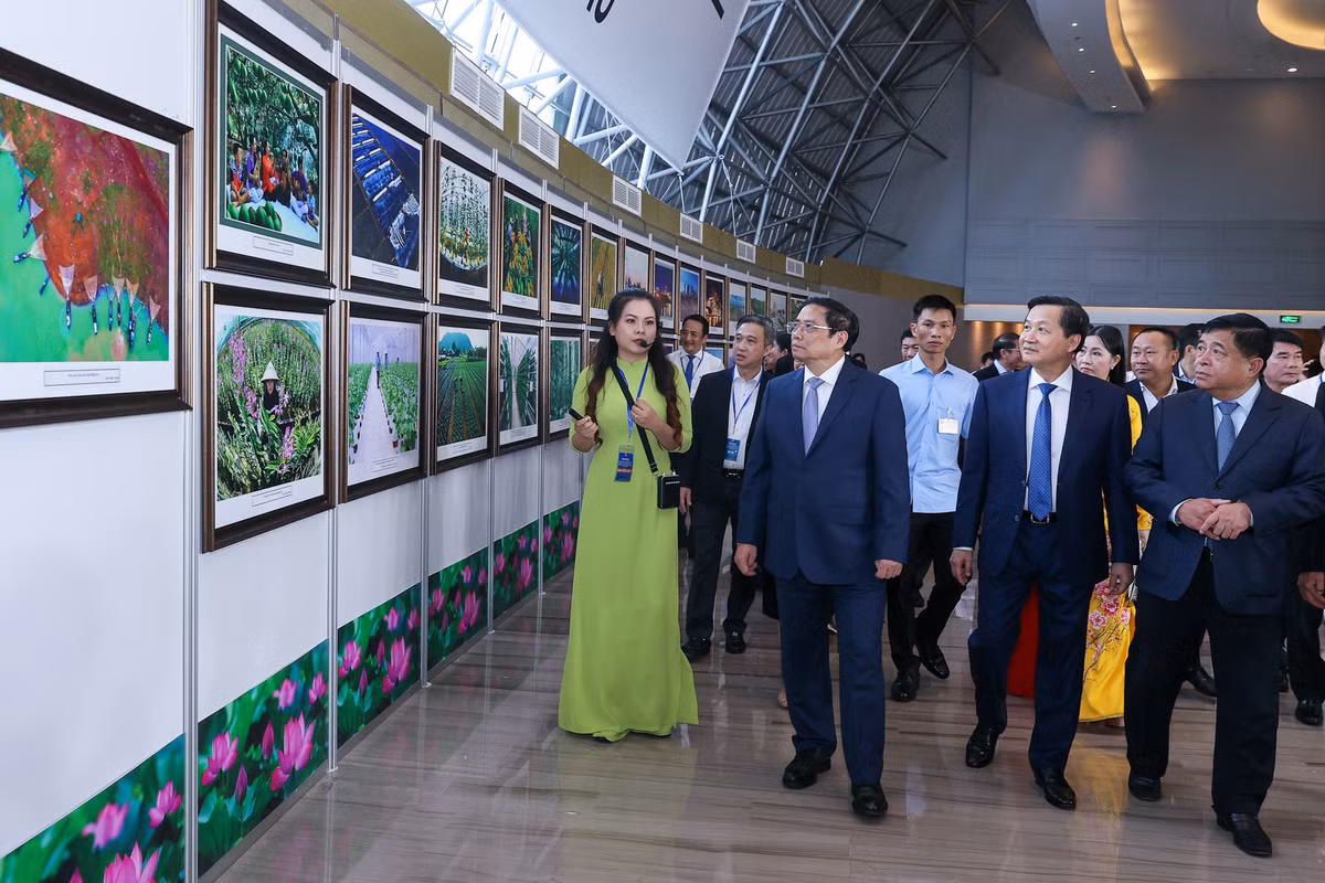 Thủ tướng chủ trì Hội nghị phát triển vùng Đông Nam Bộ và xúc tiến đầu tư vùng - Hình 2 Thu tuong chu tri Hoi nghi phat trien vung Dong Nam Bo va xuc tien dau tu vung-Hinh-2