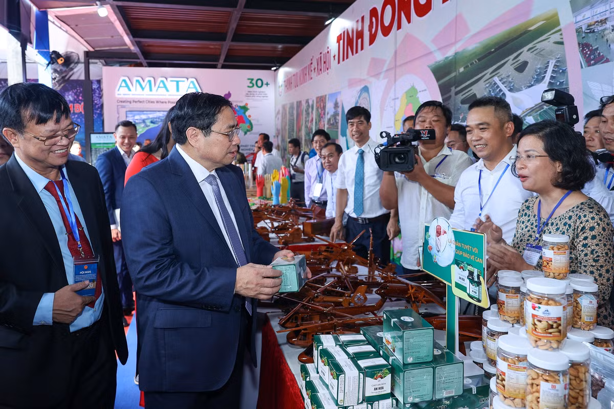 Thủ tướng chủ trì Hội nghị phát triển vùng Đông Nam Bộ và xúc tiến đầu tư vùng - Hình 3 Thu tuong chu tri Hoi nghi phat trien vung Dong Nam Bo va xuc tien dau tu vung-Hinh-3