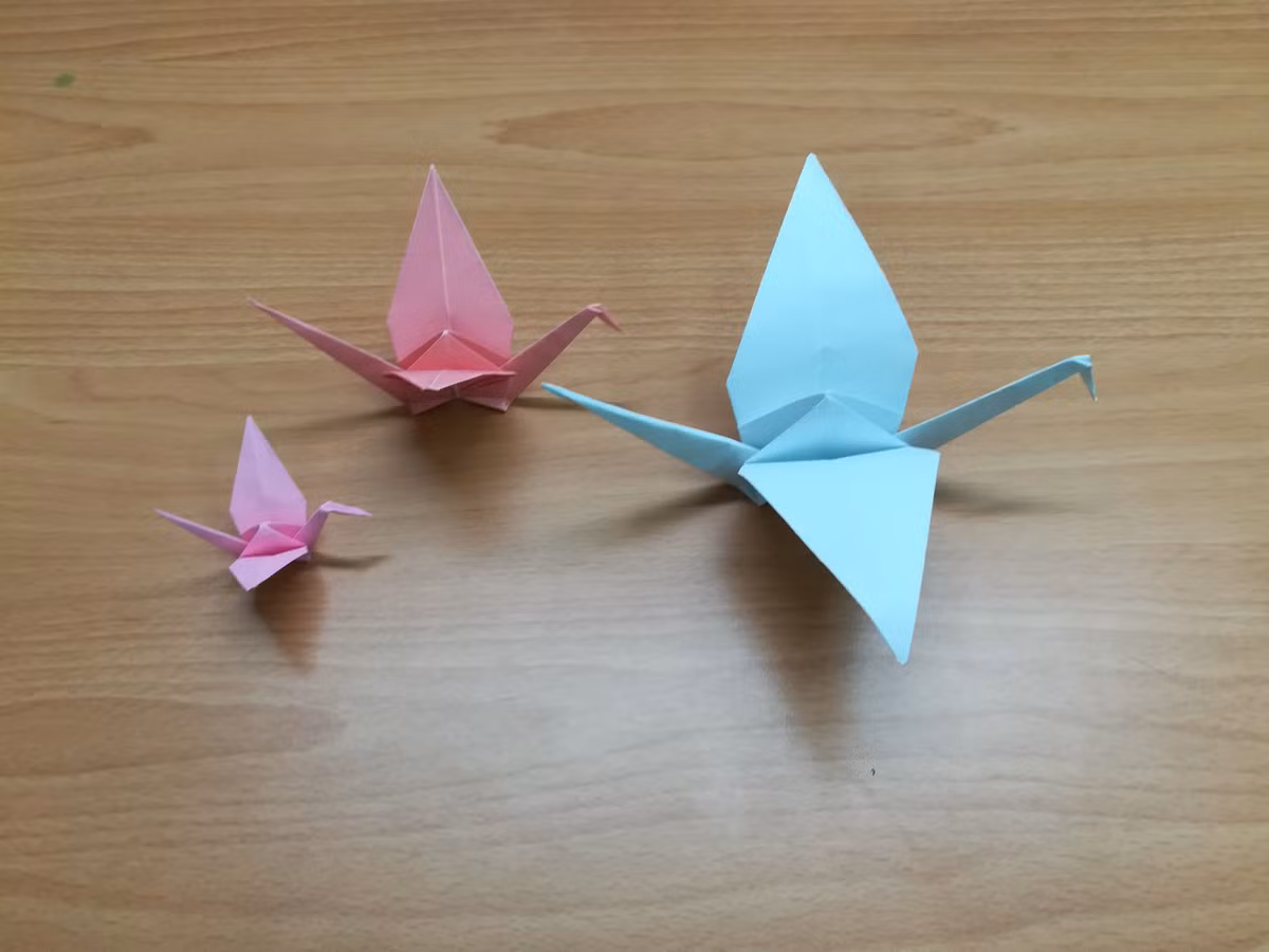 Hạc giấy Nhật Bản là con hạc được gấp từ tờ giấy hình vuông theo nghệ thuật origami truyền thống của xứ Phù Tang, có ý nghĩa đem lại may mắn, bình an, sự hồi phục sức khỏe. Từ Nhật Bản, những cánh hạc giấy đã “bay” đến mọi nơi trên thế giới, trong đó có Việt Nam.