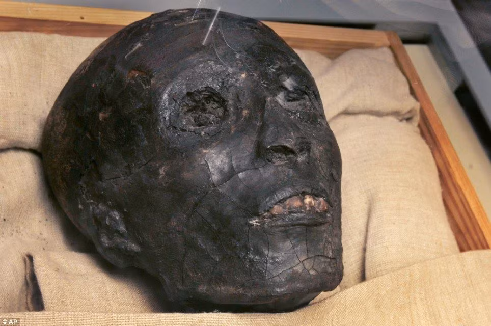 Nhờ phát hiện của Howard Carter, Tutankhamen từ một pharaoh có quá khứ mờ nhạt, ít tiếng tăm bỗng trở thành vị vua Ai Cập cổ đại được biết đến rộng rãi nhất trên thế giới.