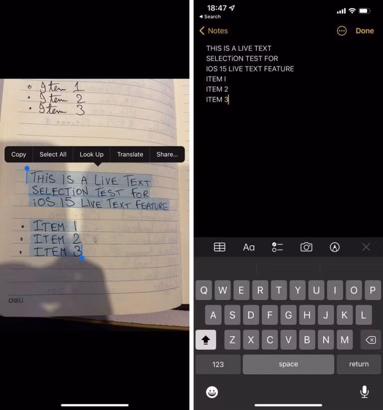 Cach dung Live Text tren iOS 15 de sao chep van ban trong anh