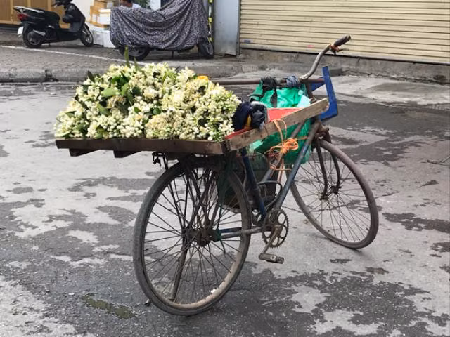Ngay 8/3, xuat hien hoa hong ma vang gia chi 10.000 dong/bong-Hinh-4