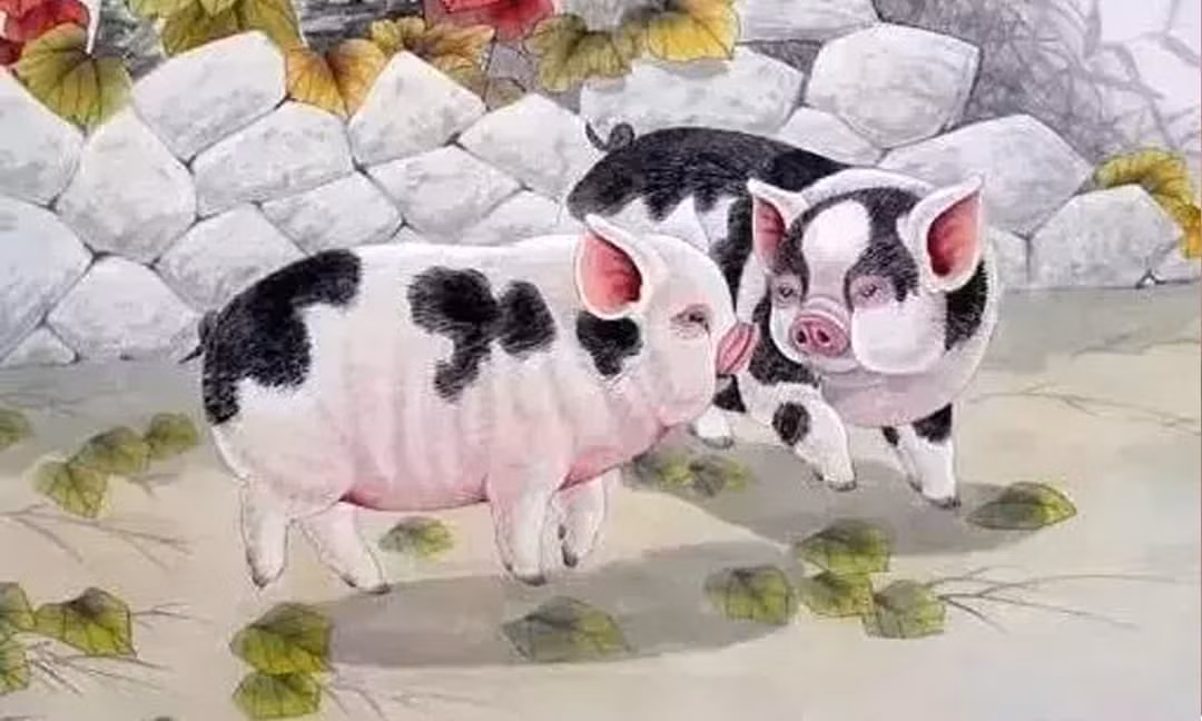  Tuổi Hợi: Hiền lành, phúc hậu, càng sống càng được yêu mến. Tuổi Hợi thường được gọi là “con giáp có số hưởng” bởi họ có xu hướng sống nhẹ nhàng, ít tranh đoạt, biết hài lòng với những gì mình có. 