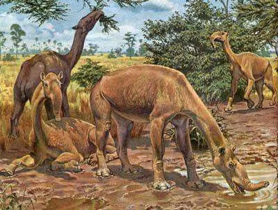  7. Chúng sống trong thời kỳ băng hà cuối cùng. Macrauchenia tồn tại đến tận cuối kỷ Pleistocene, cùng thời với các loài voi ma mút và hổ răng kiếm. Ảnh: Pinterest.