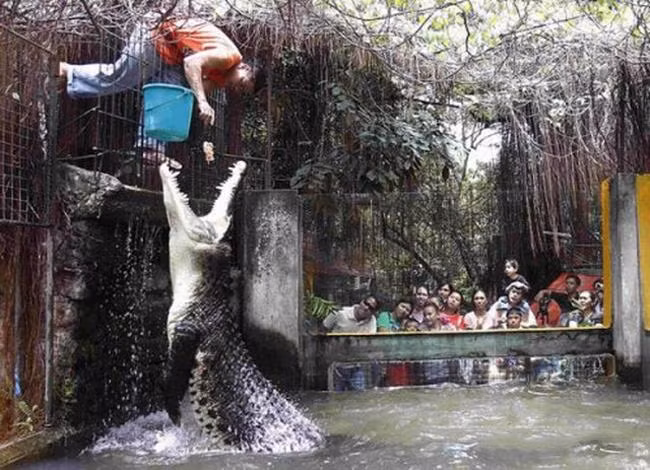 br/> Cuộc sống mà, luôn có những điều bất ngờ. Đó là khi xung quanh chúng ta tồn tại những con người bá đạo, thích trêu đùa tới nỗi dám "giỡn mặt" với tử thần mỗi ngày. Nhìn những gì mà họ thể hiện, chúng ta chỉ còn biết "mắt chữ A, mồm chữ O" thốt lên rằng: Họ cứ như xem đó là niềm vui mỗi ngày ý nhỉ?! Ảnh: Ngoan thì tí anh lại cho ăn tiếp.