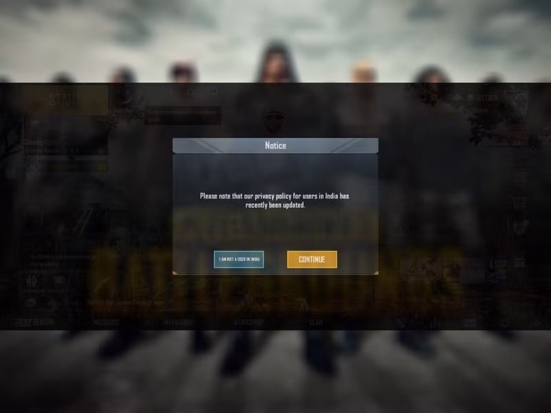 PUBG Mobile trên bờ vực bị cấm cửa ở Ấn Độ ảnh 4