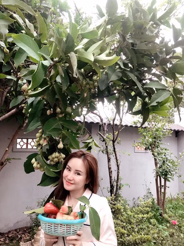 Vy Oanh cùng chồng con thu hoạch các loại rau củ, cây ăn trái ngay trong vườn nhà.