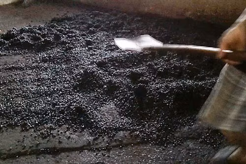 Đậu nành sau khi trộn màu được đổ la liệt ra đất