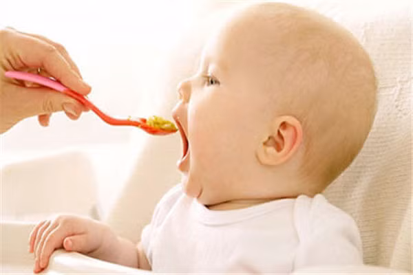 4-8 tháng. Giai đoạn này chiếc răng cửa đầu tiên của bé sẽ nhú lên. Mẹ có thể thay đổi thực đơn từ dạng lỏng sang dạng sền sệt với các món như khoai tây nghiền, cháo. Ngoài ra, bạn có thể hầm nhừ rau củ, bỏ hạt và cắt nhỏ một số loại hoa quả mềm để cho bé ăn. Điều này sẽ giúp bé học nhai, thúc đẩy nướu và răng sữa của bé phát triển khỏe mạnh.