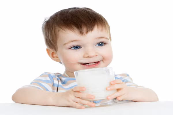 Sữa đúng là một thực phẩm rất tốt có chứa đầy đủ các chất dinh dưỡng giúp trẻ tăng trưởng và phát triển chiều cao, nó còn là nguồn cung cấp canxi quan trọng nhất. Khi cai sữa mẹ trẻ cần được bổ sung các loại sữa bột công thức theo tuổi, hoặc uống sữa tươi khi trẻ đã lớn.