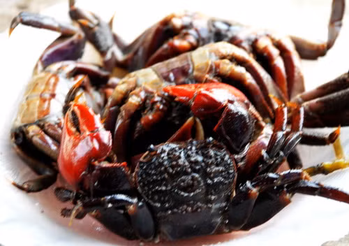 Mắm ba khía. Mắm này được làm chủ yếu từ con ba khía, một loài họ cua có càng to, đặc trưng ở vùng Nam Bộ, sống tập trung ở vùng nước lợ, mặn, trải từ Cần Thơ đến Sóc Trăng, Cà Mau, nhiều nhất ở U Minh. Loại mắm này thường ăn với cơm như các món mắm Việt Nam khác, phần nước trộn giàu đạm có thể dùng làm nước chấm.