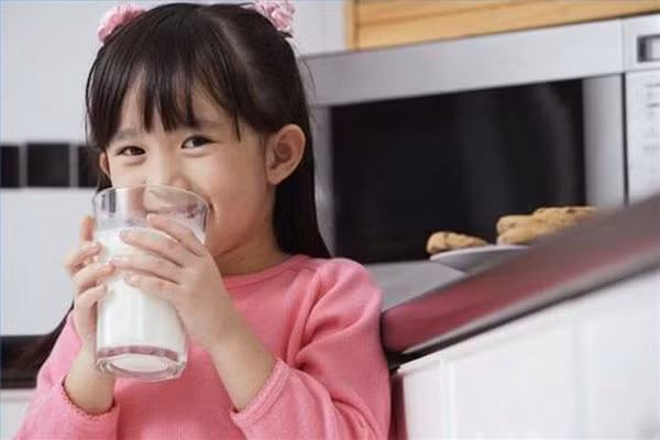 Các sản phẩm từ sữa là nguồn cung cấp vitamin B2 tốt nhất, đặc biệt là các loại pho mát và sữa chua. Nếu bé nhà bạn không thích sữa và các sản phẩm liên quan, có thể thay thế bằng trứng, trái cây tươi, các loại đậu, các loại hạt, gan, tim, thịt gia cầm, ngũ cốc…
