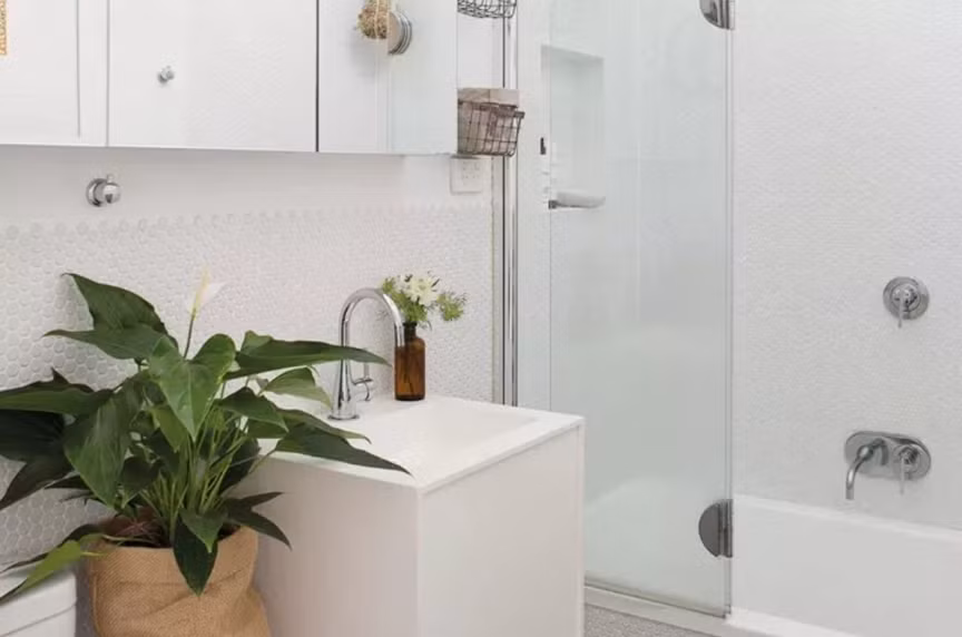 Lan ý là loại cây trồng trong nhà quen thuộc với nhiều gia đình. Cây có thể phát triển tốt mà không cần tưới quá nhiều nước và ít ánh sáng mặt trời. Đặc biệt, cây lan ý có khả năng thanh lọc không khí, khử mùi hôi rất tốt, giữ cho không gian phòng tắm luôn thật trong lành, dễ chịu. (*Thông tin mang tính tham khảo, chiêm nghiệm).