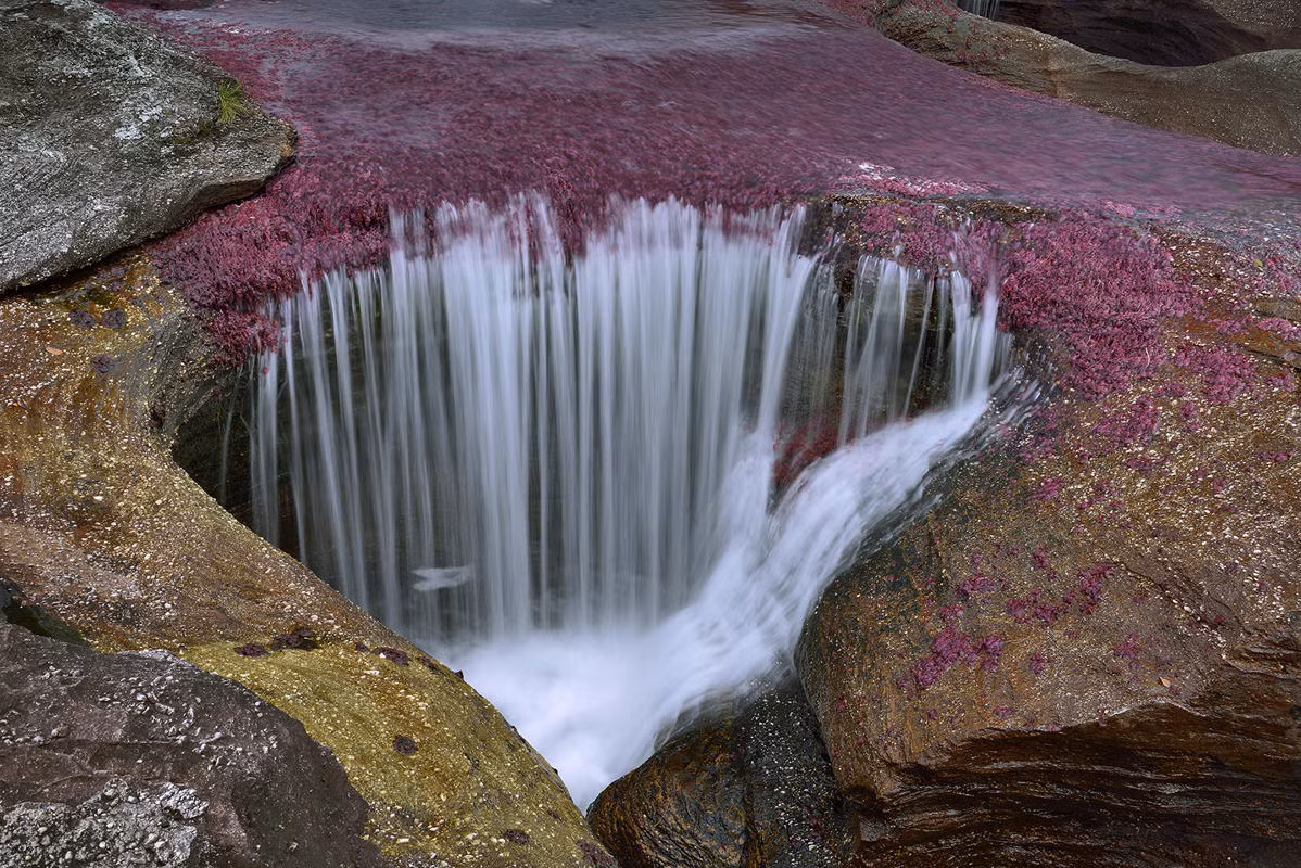Dòng sông nhỏ nên thơ Cano Cristales thuộc Công viên quốc gia Macarena chảy qua vùng Sierra de la Macarena tỉnh Meta của Columbia được mệnh danh là dòng sông cầu vồng, sông ngũ sắc hoặc dòng sông từ thiên đường…