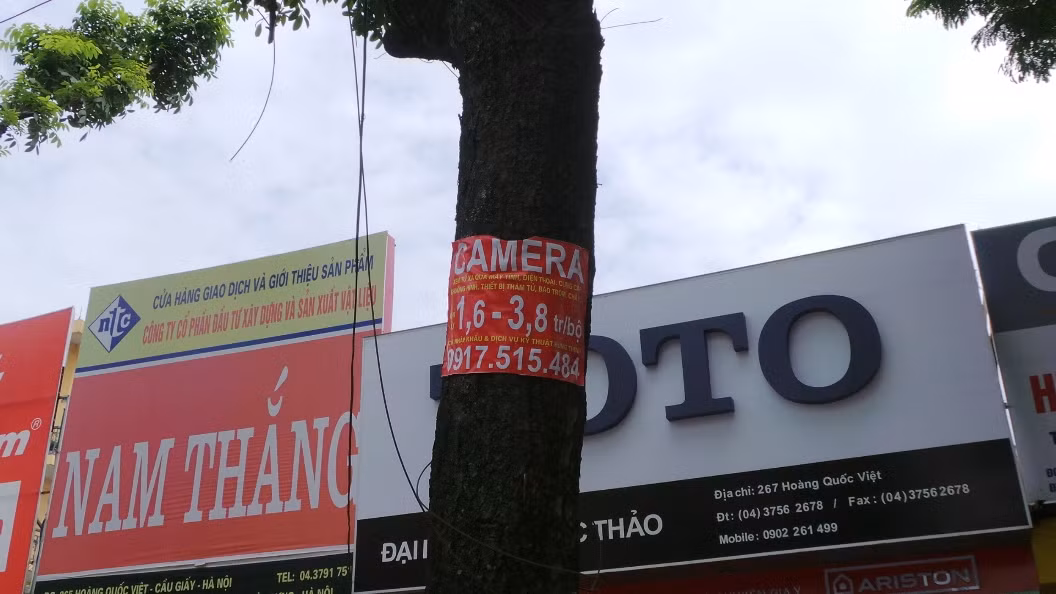 Cây xanh trên các tuyến phố là một phương tiện quảng cáo thông dụng ở Hà Nội