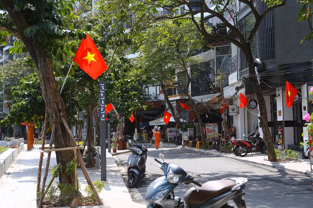 Dù đã có phương án điều chỉnh tổ chức giao thông tại một số tuyến đường lân cận khu vực hồ Ngọc Khánh nhưng vẫn có nhiều phương tiện di chuyển vào trong khu vực đường đi bộ.