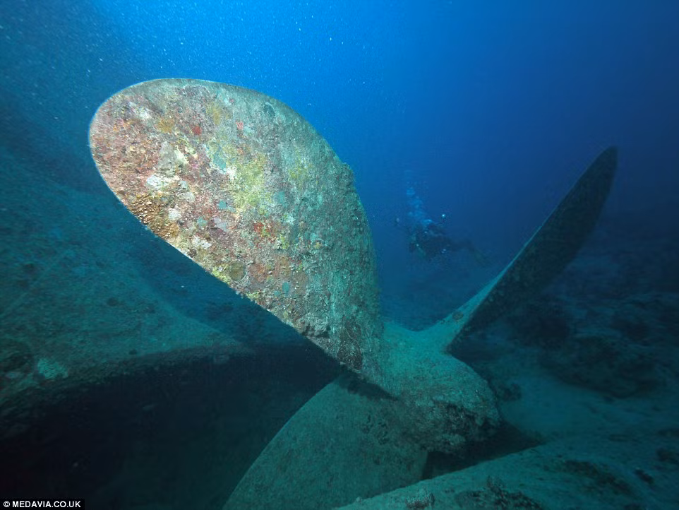 Do tránh sự tấn công của không quân và hải quân Đức, Italy, tàu SS Thistlegorm phải di chuyển trong một đoàn hộ tống qua Cape Town, Nam Phi, nơi nó được tiếp nhiên liệu, trước khi tiến về phía bắc tới bờ biển phía đông châu Phi và vào Biển Đỏ.