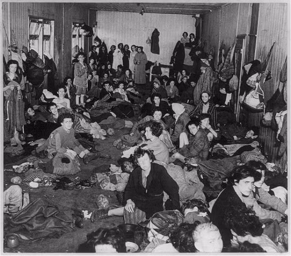 Khoảng 220.000 - 500.000 người Gypsy bị giết hại trong vụ thảm sát Holocaust.