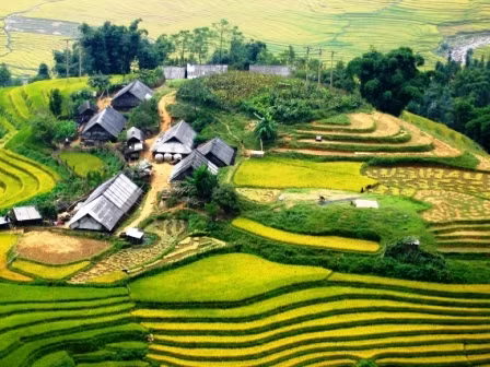 Ruộng bậc thang đẹp tuyệt vời ở Sapa là điểm dừng chân lý tưởng dành cho du khách. Trang Touropia cũng xếp hạng ruộng bậc thang Sa Pa của Việt Nam nằm trong top 11 ruộng bậc thang đẹp nhất thế giới.