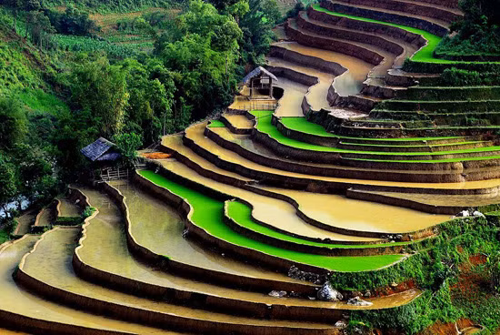 Tạp chí du lịch danh tiếng Travel and Leisure của Mỹ cũng đã từng bình chọn ruộng bậc thang Sa Pa là 1 trong 7 ruộng bậc thang đẹp nhất, kỳ vỹ nhất châu Á và thế giới. Bên cạnh đó, Sapa cũng hấp dẫn khách du lịch ở nền văn hóa đặc sắc của các dân tộc thiểu số sống ở nơi đây.