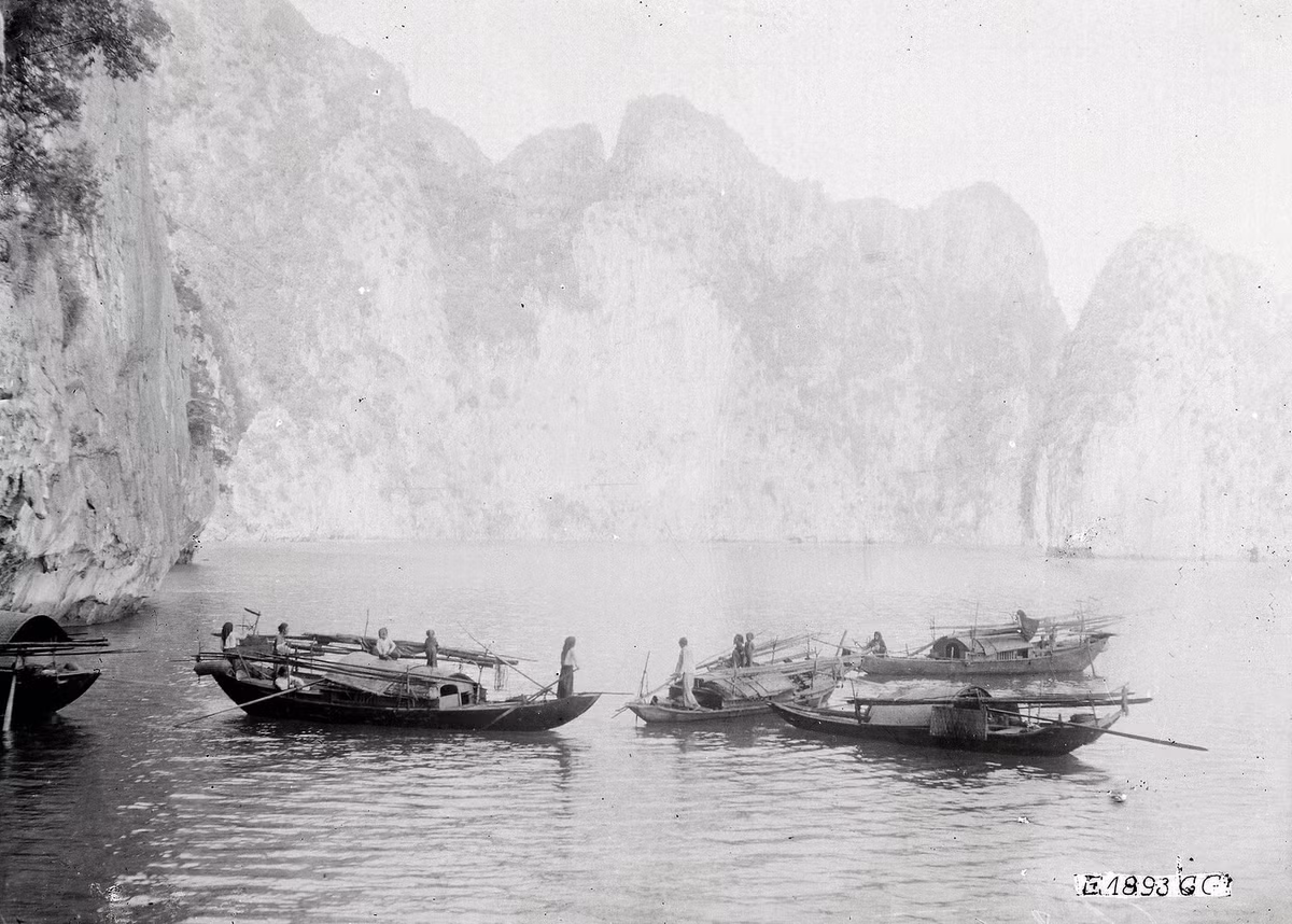 Những con thuyền nhỏ của dân chài ở vịnh Hạ Long.