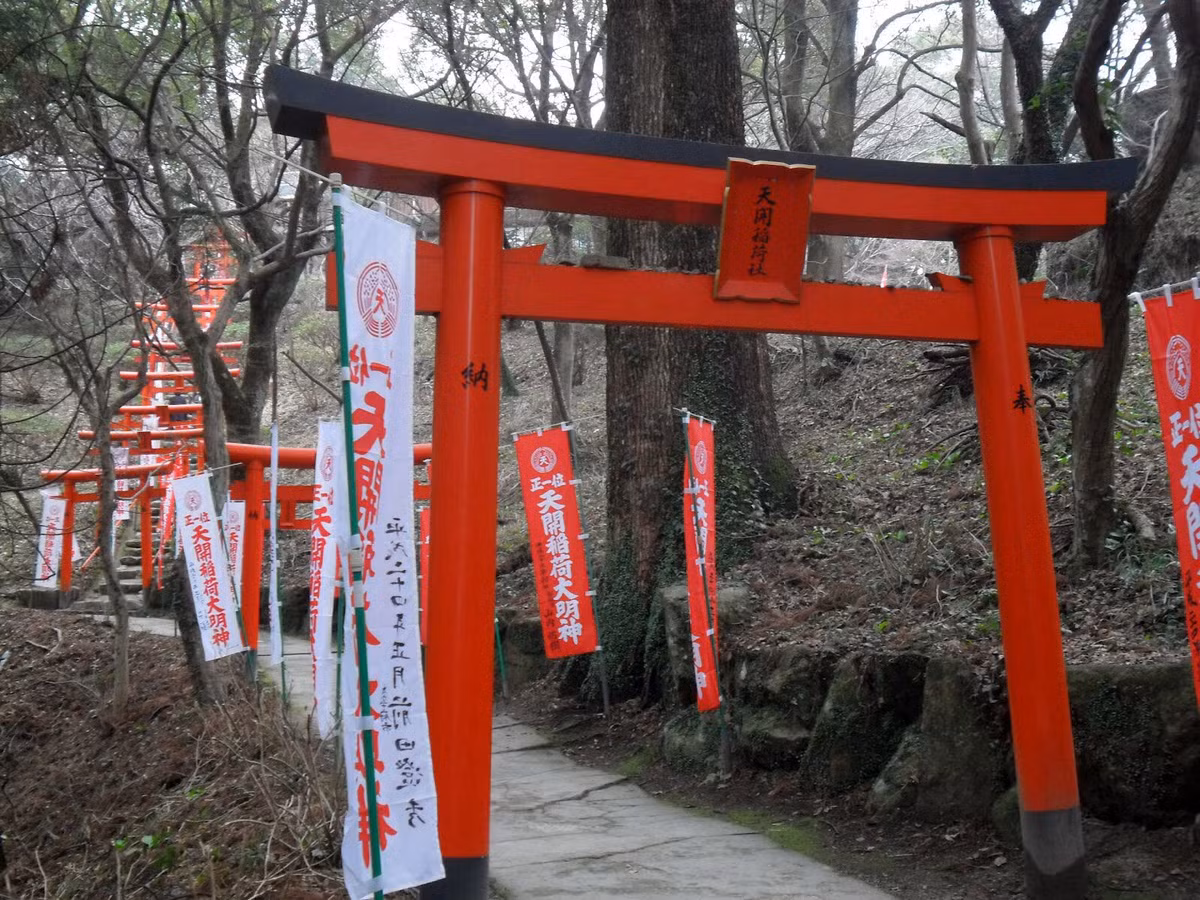 Xưa kia, cổng Torii thường được dựng từ gỗ hay đá. Nhưng từ thời hiện đại vật liệu xây cổng đã trở nên đa dạng hơn. Ngày nay, không hiếm cổng Torii được xây bằng bê tông cốt thép hoặc thép hộp.