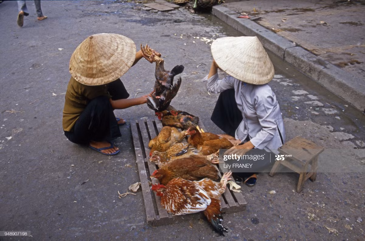 Mua bán gà dưới lòng đường.