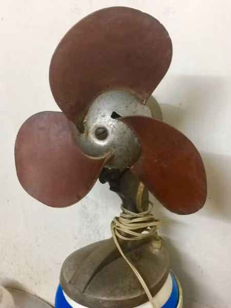 Hai đặc điểm của quạt tai voi khiến người dùng nhớ mãi. Đó là quạt chạy khá ồn và “nồi đồng cối đá”. Quạt rất nặng vì lớp vỏ kim loại dày. Nhiều người dùng cho rằng, quạt tai voi đủ sức “sống sót” sau khi bị thả xuống đất từ tầng hai.