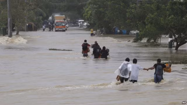 Ở Luzon, một cụ bà và 4 thiếu niên thiệt mạng do cây đổ vì bão.