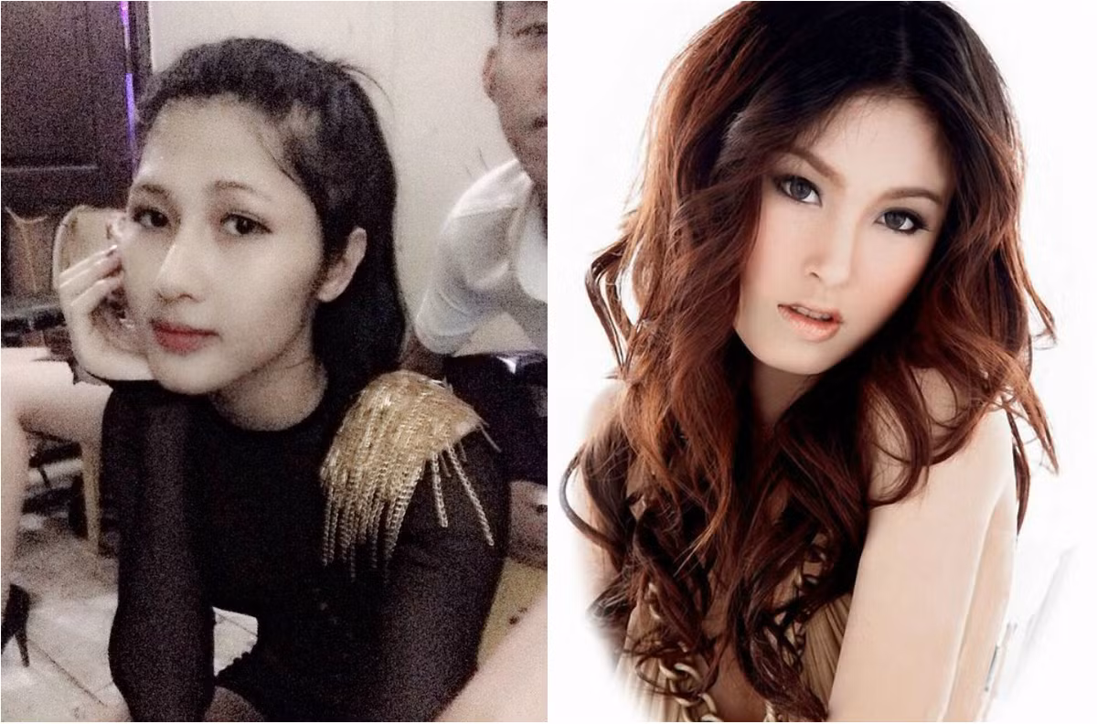 Bài viết cũng điểm lại nhiều dấu ấn trong sự nghiệp của Trâm Anh, đồng thời liên tục nhấn mạnh, so sánh cô với Nong Poy như một hiện tượng thẩm mỹ xinh đẹp. Bài viết dẫn lời trang tin Việt nhắc lại thời điểm Trâm Anh trở nên nổi tiếng khi đi thi Vietnam's Next Top Model và Vietnam Idol (khi vẫn là con trai, có gương mặt khá thô). Nhưng được tài trợ bởi một hãng thẩm mỹ, Trâm Anh được phẫu thuật miễn phí và "lột xác", trở thành một người đẹp vô cùng gợi cảm.
