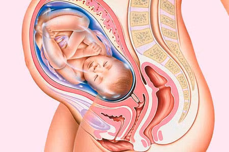Có một điều khá lý thú thể hiện sự phát triển đáng kể về bộ phận tư duy của não bé trong giai đoạn này là: một thai nhi 7 tháng tuổi có thể biết đau và phản ứng rất giống bé được sinh đủ tháng đủ ngày.