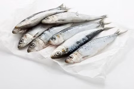 Cá mòi. Cá mòi rất giàu protein và canxi. Đặc biệt, canxi trong cá mòi rất dễ tiêu hóa và hấp thụ, có lợi cho sự phát triển của trẻ em.