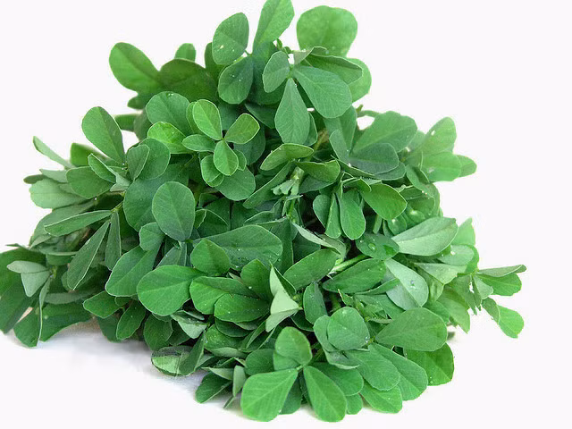 Giã nhuyễn hạt cỏ cà ri ngâm trong nước qua đêm. Massage dung dịch này lên da đầu để khoảng 15 phút sau đó gội sạch với dầu gội có hoạt tính dịu nhẹ.