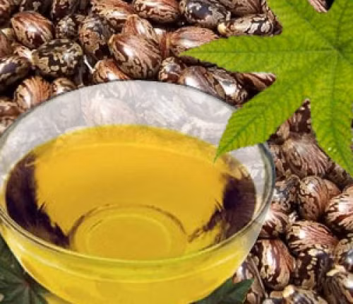 Dầu hại cải + dầu thầu dầu + dầu ô liu: Hỗn hợp này tẩy trang cho mắt và môi cực tốt. Bạn cần chuẩn bị: 1 muỗng canh dầu cây hại cải dầu (canola oil), 1 muỗng canh dầu thầu dầu, 1 muỗng canh dầu ôliu, 1 chiếc lọ hoặc chai nhỏ, 1 quả bóng bông, Xà phòng hoặc sữa rửa mặt dịu nhẹ.