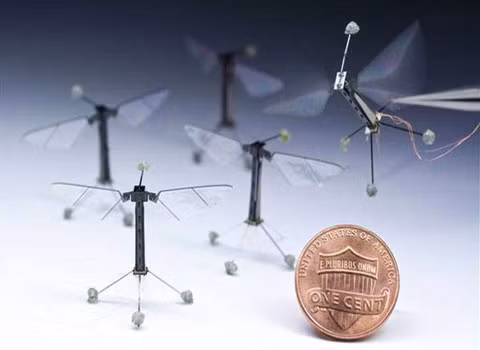 Thiết bị bay không người lái. RoboBee là thiết bị bay không người lái nhỏ nhất thế giới, được các nhà chế tạo robot thuộc đại học Harvard tạo ra. Nó lấy cảm hứng từ các con côn trùng. Thiết bị này thậm chí chỉ lớn hơn đồng xu 1 cent một chút.