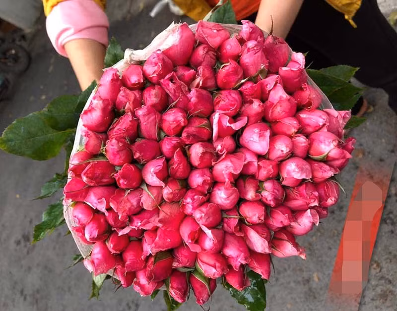 Hoa hong re nhu cho, ngoi nha chot ban 4 van bong/ngay-Hinh-2