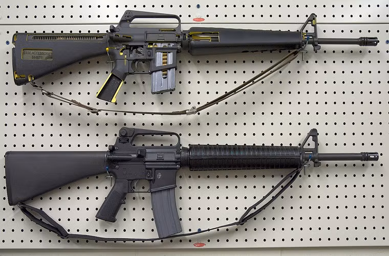 M16 và các biến thể của nó là loại vũ khí tiêu chuẩn của Quân đội Mỹ và các quốc gia đồng minh. Hiện tại đã có ít nhất 8 triệu khẩu đã được sản xuất trên toàn thế giới, với biến thể mới nhất M16A4. Đây cũng là nguyên mẫu để Mỹ phát triển mẫu súng carbine M4A1, một trong những mẫu súng bộ binh phổ biến nhất thế giới hiện nay.
