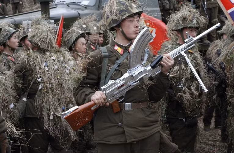  Type 73 có thể sử dụng cả băng tiếp đạn dây qua một cửa bên thân súng hoặc hộp tiếp đạn qua một cửa trên lưng súng. Thiết kế này là để tận dụng tối đa các nguồn đạn trên chiến trường. Type 73 cũng có phiên bản mạ Crome trang bị cho các cận vệ của lãnh tụ hoặc sử dụng trong nghi lễ. 
