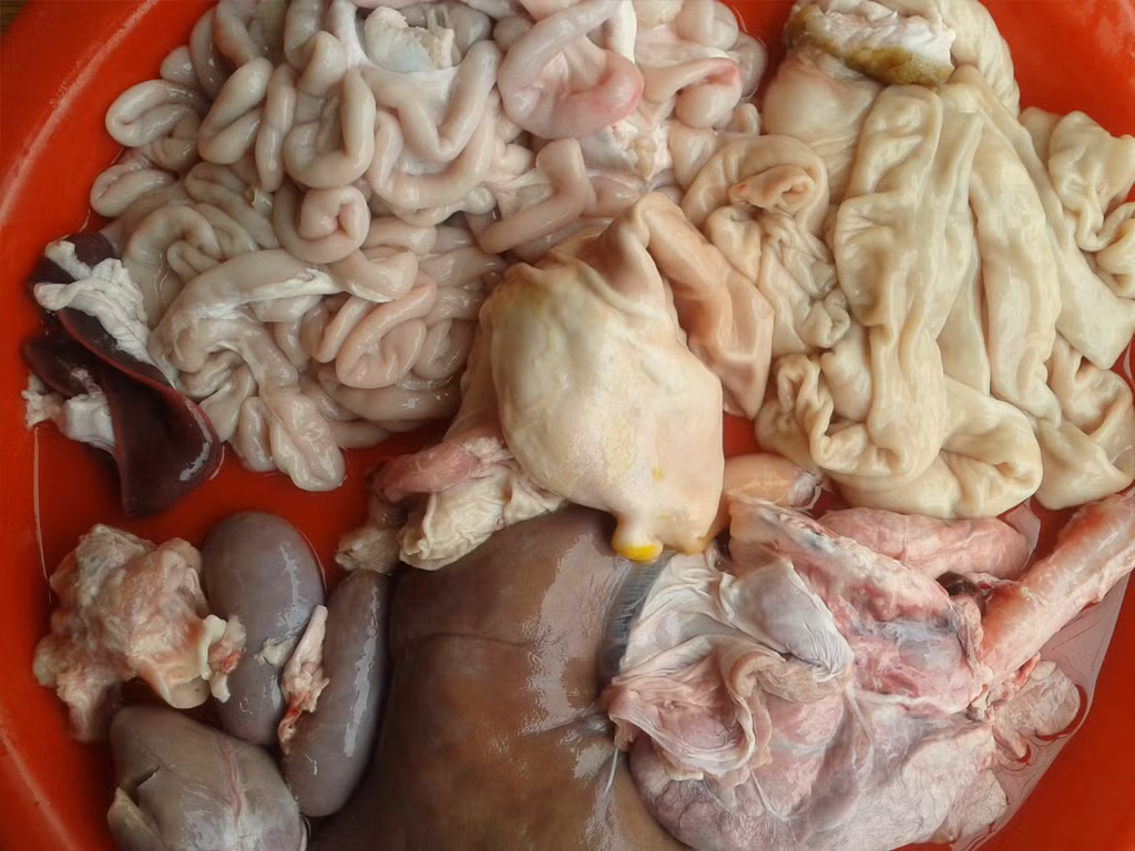 Bên cạnh đó theo quan niệm của người Cơ đốc giáo ở nhiều quốc gia, lục phủ ngũ tạng là nơi tập trung những thứ ô uế của con vật, vì vậy con người cần phải tránh ăn các bộ phận này. Ảnh: Thực Phẩm Hằng.