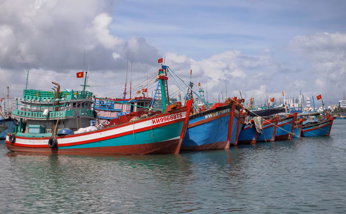 Doanh nghiep van tai lao dao vi gia xang dau len cao-Hinh-2
